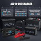 20-Amp Smart Battery Charger,Lithium,LiFePO4,Lead-Acid(AGM/Gel/SLA..) Car...