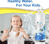 Excelpure Water Filter RFC6600A.  4 Pack. New In Box