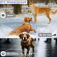 E-FENCE 3-in-1 GPS Dog Tracker/Training Collar/Electronic Fence Wireless Electri