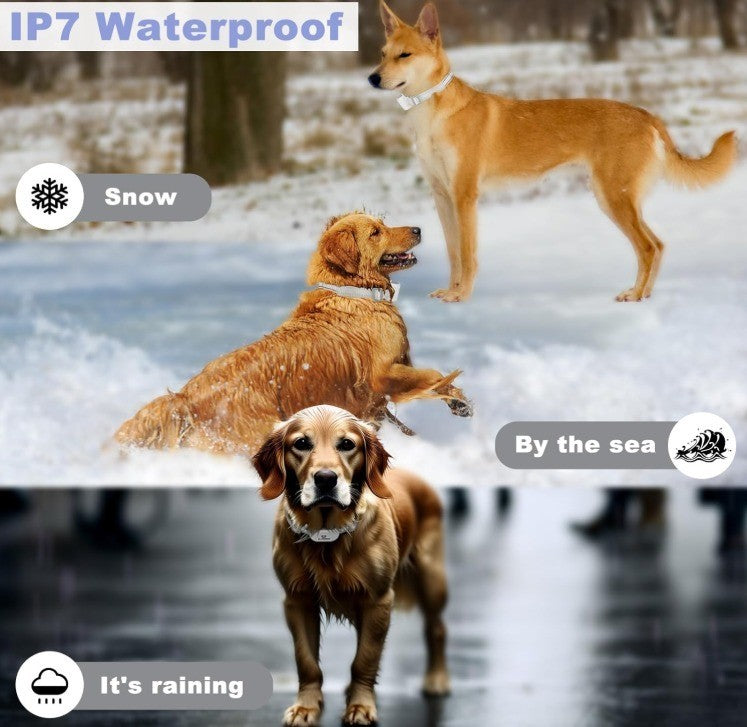E-FENCE 3-in-1 GPS Dog Tracker/Training Collar/Electronic Fence Wireless Electri