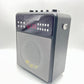 Karaoke Machine for Adults, Portable Karaoke Machine with Bluetooth and 2 Wirele