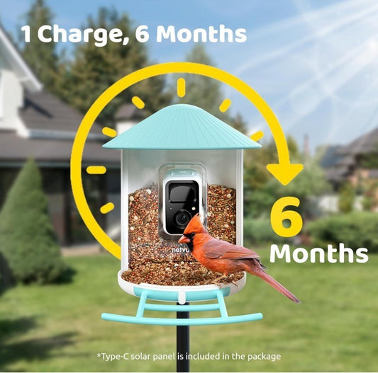 NETVUE Birdfy AI Smart Bird Feeder with Camera Solar Powered AI Auto Capture