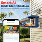 Smart Bird Feeder with AI Camera Solar-powered Recognize 10,000+ Species Blue
