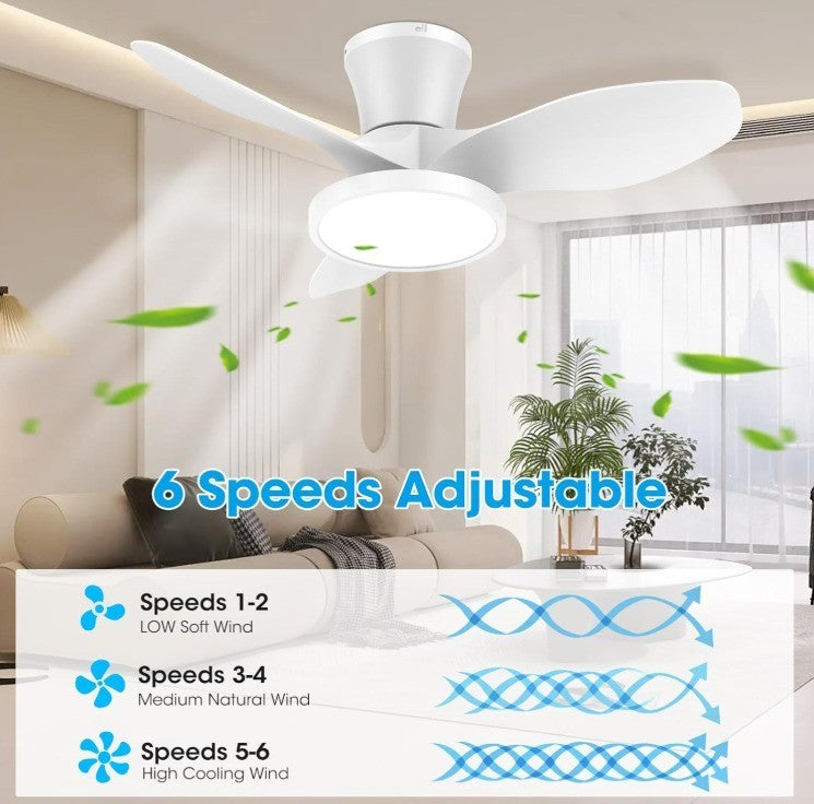 ocioc Quiet Ceiling Fan with LED Light DC motor 32 inch Large Air Volume Remo...