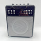 Karaoke Machine for Adults, Portable Karaoke Machine with Bluetooth and 2 Wirele