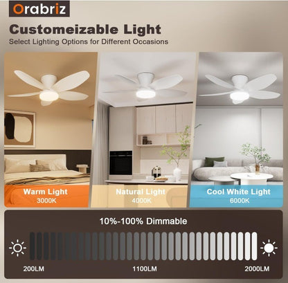 52" Ceiling Fans with Lights and Remote,Low Profile Flush mount 52 Inch White