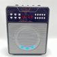 Karaoke Machine for Adults, Portable Karaoke Machine with Bluetooth and 2 Wirele
