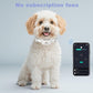E-FENCE 3-in-1 GPS Dog Tracker/Training Collar/Electronic Fence Wireless Electri
