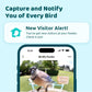 NETVUE Birdfy AI Smart Bird Feeder with Camera Solar Powered AI Auto Capture
