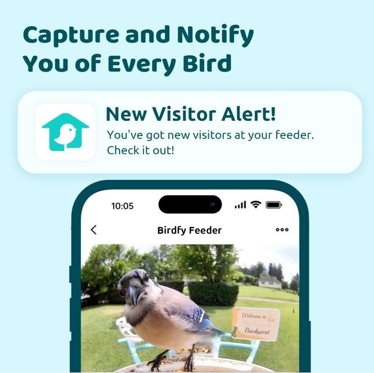 NETVUE Birdfy AI Smart Bird Feeder with Camera Solar Powered AI Auto Capture