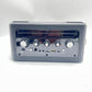 Karaoke Machine for Adults, Portable Karaoke Machine with Bluetooth and 2 Wirele
