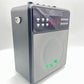 Karaoke Machine for Adults, Portable Karaoke Machine with Bluetooth and 2 Wirele