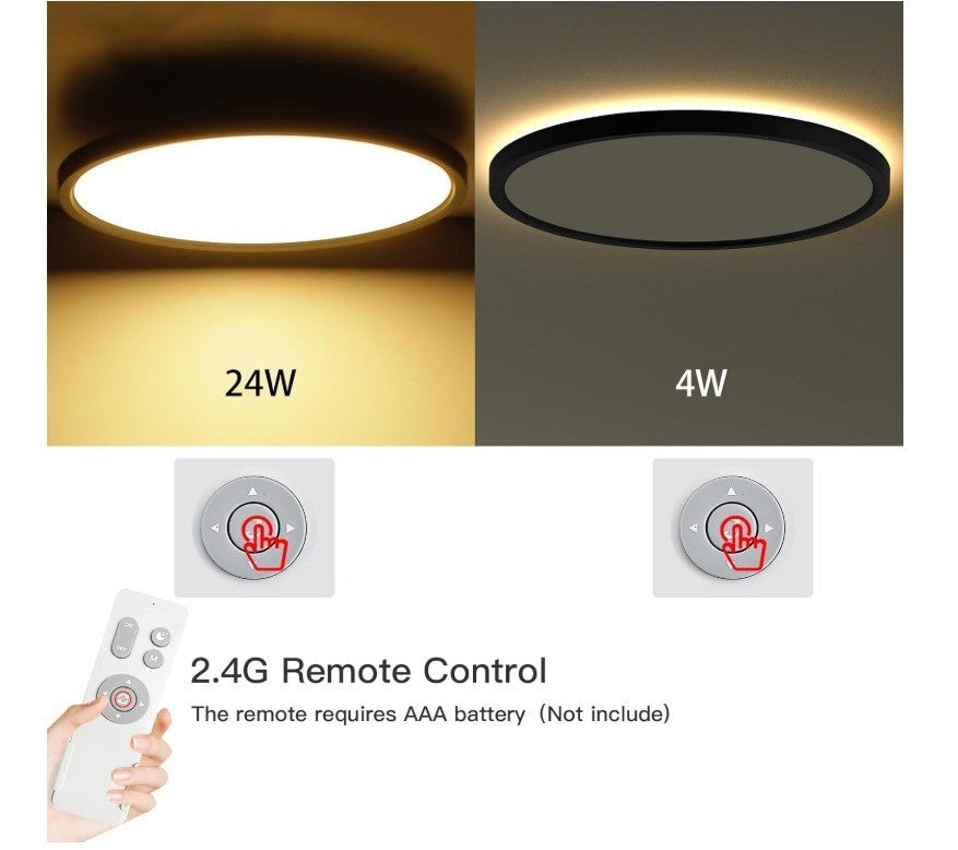 Roomratv Black Ceiling Light Fixture with Remote Control, with 3000K Warm Nightl