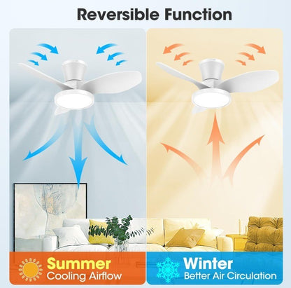 ocioc Quiet Ceiling Fan with LED Light DC motor 32 inch Large Air Volume Remo...