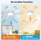 ocioc Quiet Ceiling Fan with LED Light DC motor 32 inch Large Air Volume Remo...