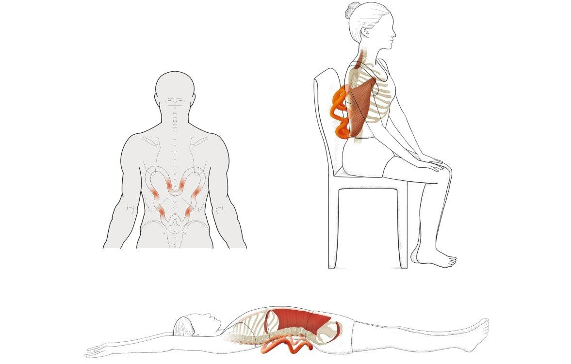 Shoulder Deep Tissue Massager, Myofascial Trigger Point Relieve Scapular Pain...