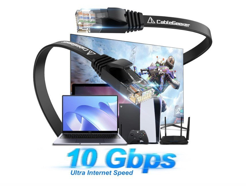 Cat 6 Ethernet Cable 100 ft, Indoor&Outdoor, High Speed 10Gbps Internet Network