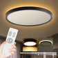 Roomratv Black Ceiling Light Fixture with Remote Control, with 3000K Warm Nightl