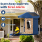 Smart Bird Feeder with AI Camera Solar-powered Recognize 10,000+ Species Blue