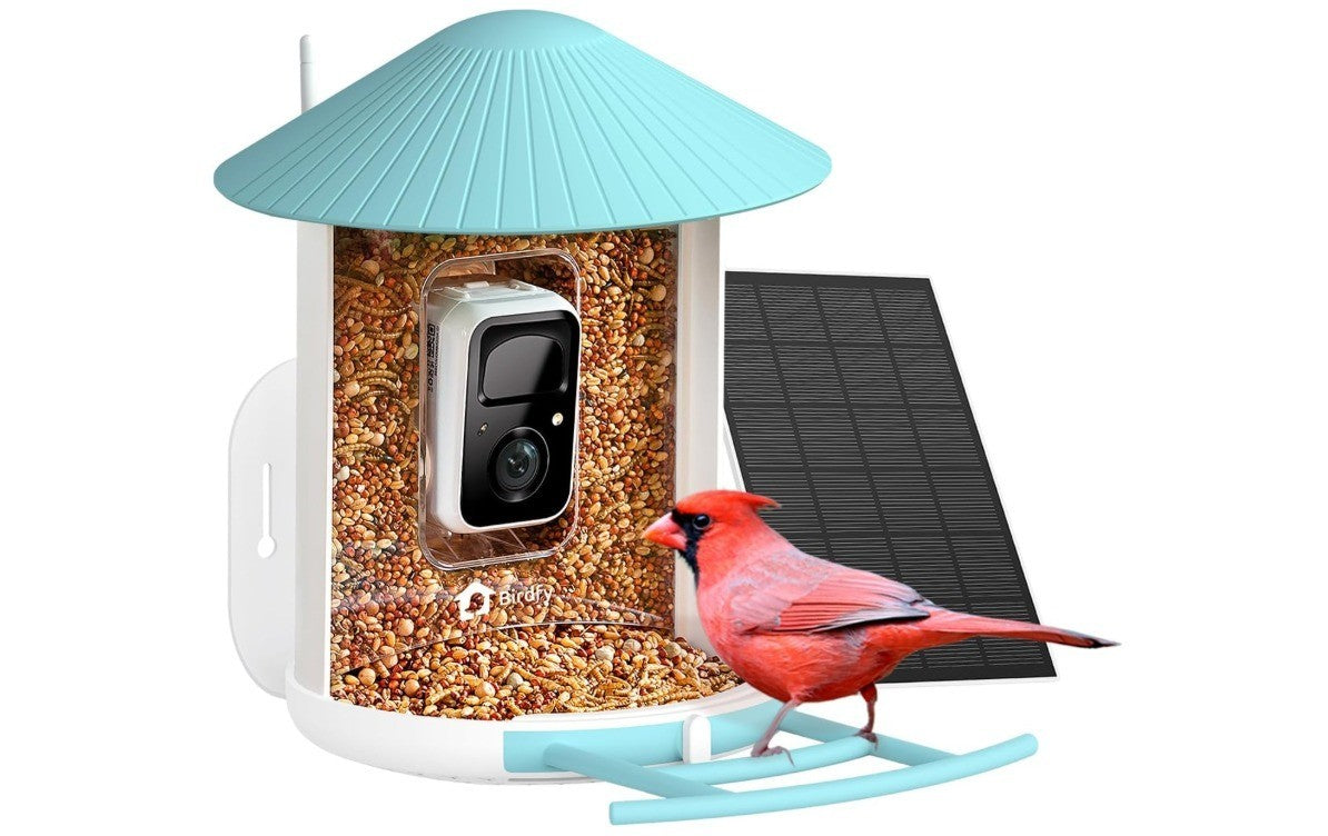 NETVUE Birdfy AI Smart Bird Feeder with Camera Solar Powered AI Auto Capture