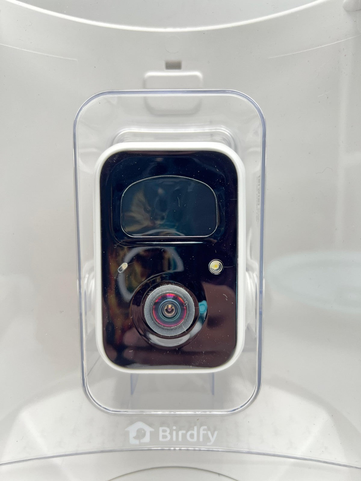 NETVUE Birdfy AI Smart Bird Feeder with Camera Solar Powered AI Auto Capture