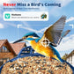 Smart Bird Feeder with AI Camera Solar-powered Recognize 10,000+ Species Blue