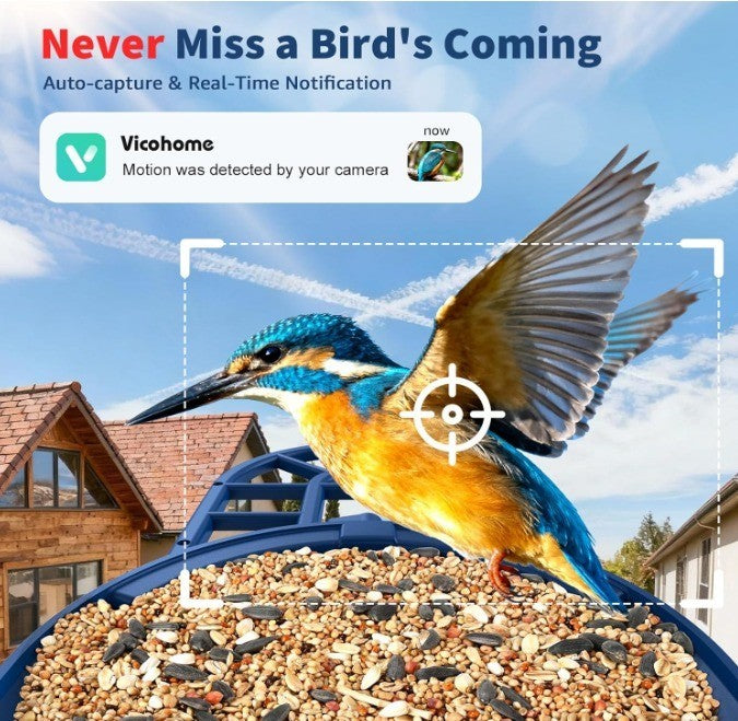 Smart Bird Feeder with AI Camera Solar-powered Recognize 10,000+ Species Blue