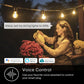 Kasa Outdoor Smart Dimmer Plug, IP64 Plug- in Dimmer for Outdoor String Lights